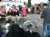 16.02.14 Umzug in Rouffach