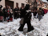 16.02.14 Umzug in Rouffach