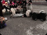 16.02.14 Umzug in Rouffach