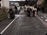 16.02.14 Umzug in Rouffach